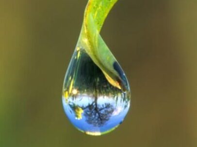 Dewdrop