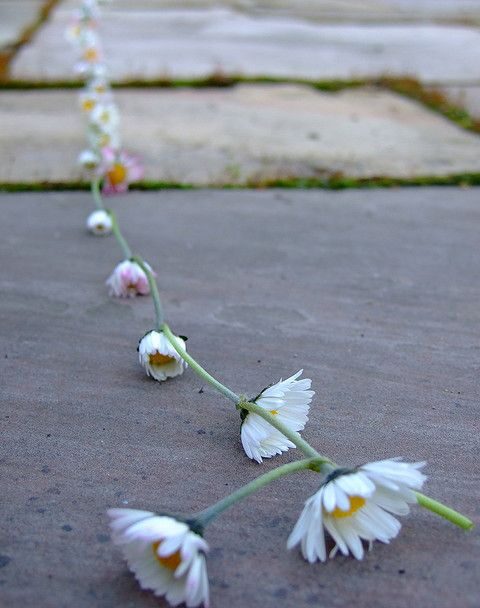 Count not the chain of flowers.